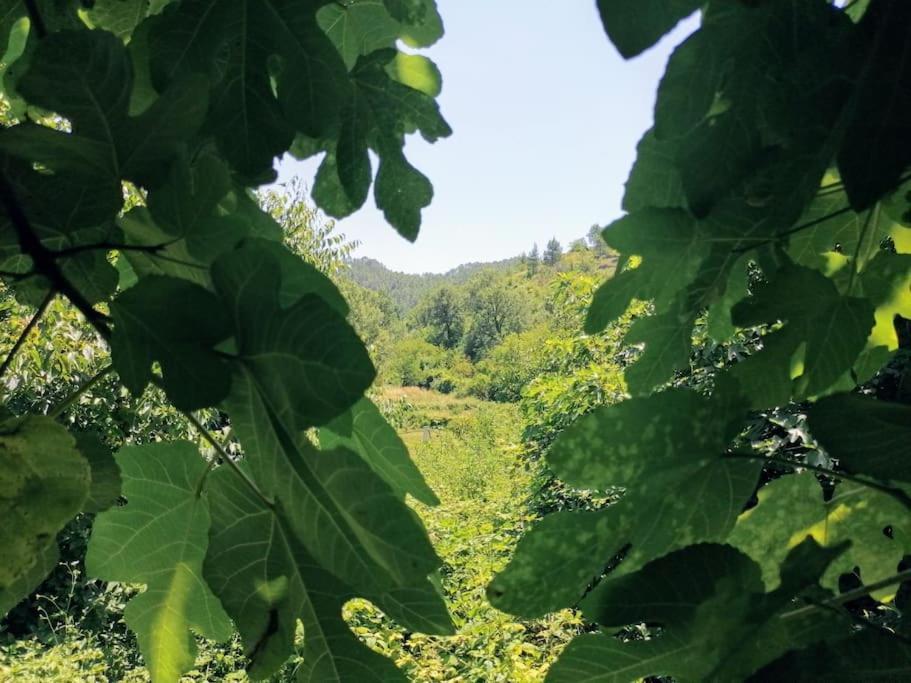 La Casirria Villa Olba Eksteriør bilde