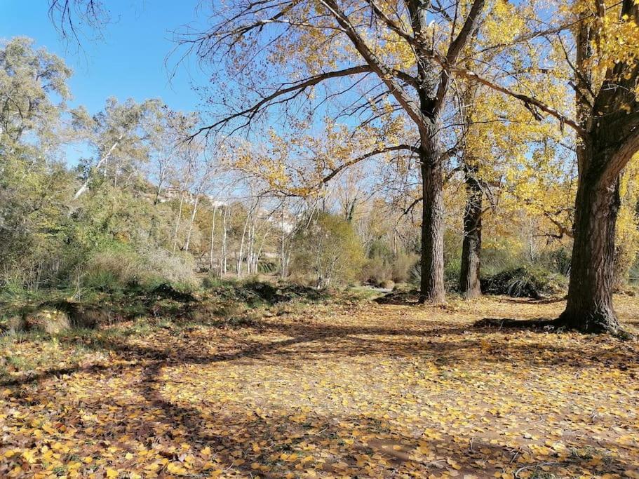 La Casirria Villa Olba Eksteriør bilde